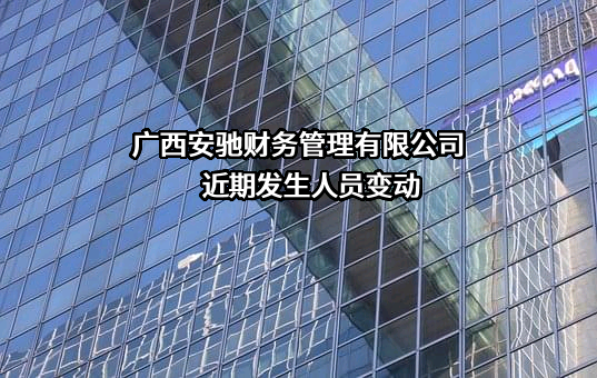 广西安驰财务管理有限公司