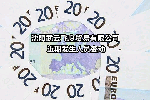 沈阳武云飞度贸易有限公司