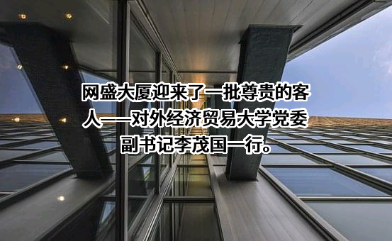 对外经济贸易大学
