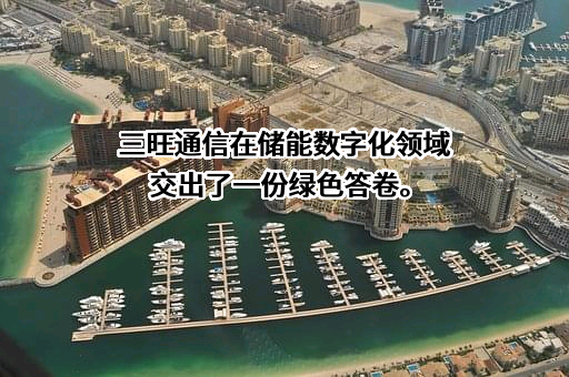 深圳市三旺通信股份有限公司