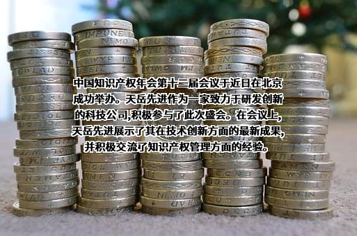 山东天岳先进科技股份有限公司