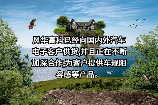广东风华高新科技股份有限公司