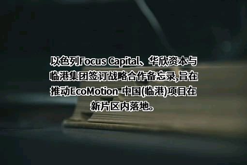 上海临港经济发展（集团）有限公司