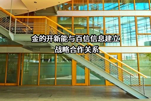 金开新能源股份有限公司