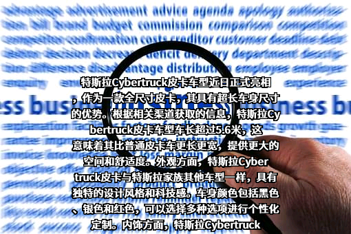 特斯拉（上海）有限公司