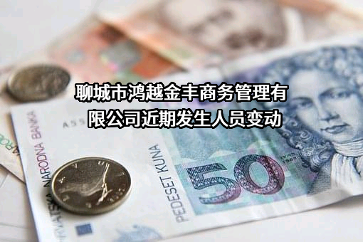 聊城市鸿越金丰商务管理有限公司