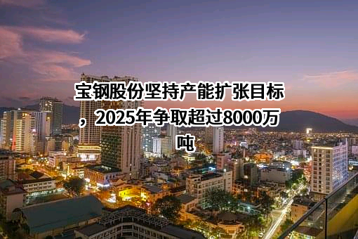 宝山钢铁股份有限公司