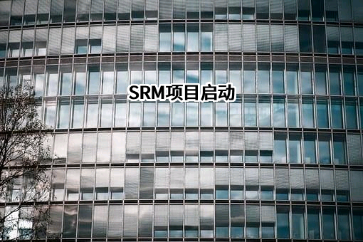 SRM项目启动