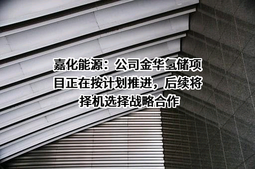 浙江嘉化能源化工股份有限公司