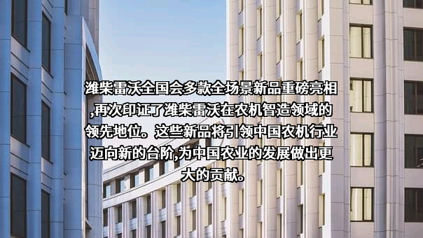 山东潍柴雷沃传动有限公司