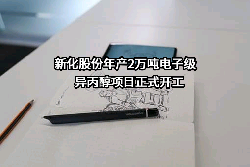 浙江新化化工股份有限公司