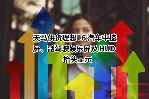 天马微电子股份有限公司