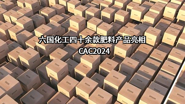 安徽六国化工股份有限公司