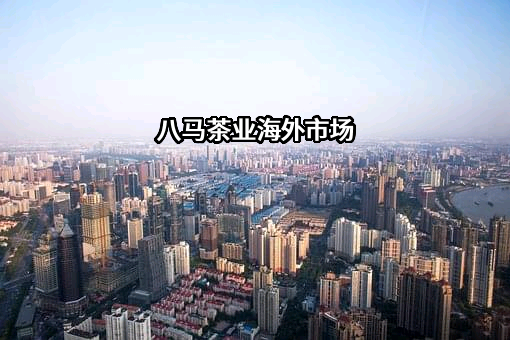 八马茶业股份有限公司