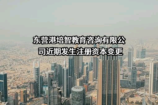 东营港培智教育咨询有限公司