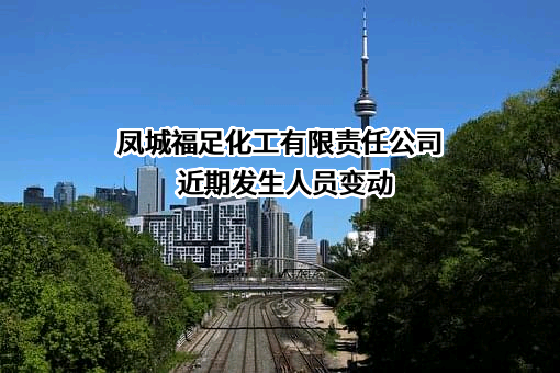 凤城福足化工有限责任公司
