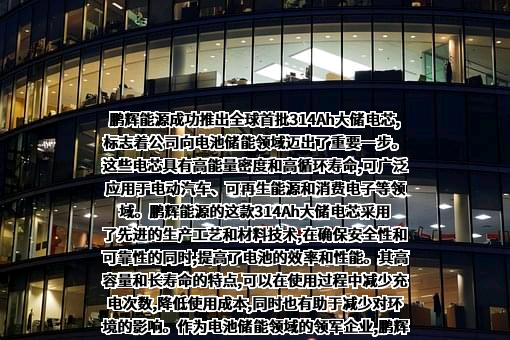 广州鹏辉能源科技股份有限公司