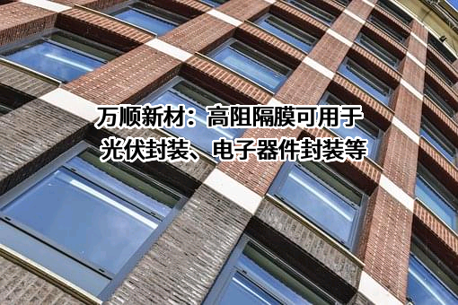 汕头万顺新材集团股份有限公司