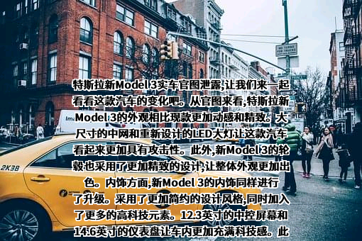 特斯拉（上海）有限公司