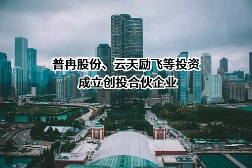 普冉半导体（上海）股份有限公司