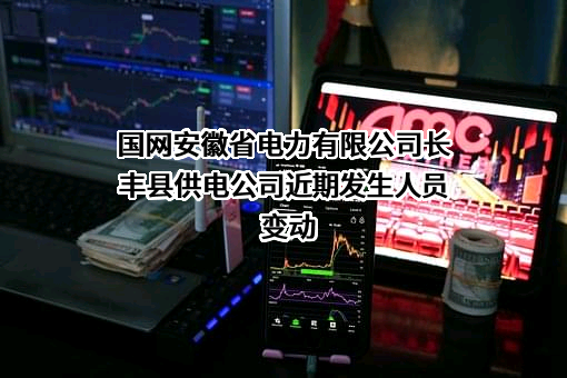 国网安徽省电力有限公司长丰县供电公司