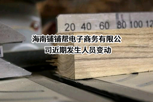 海南铺铺帮电子商务有限公司