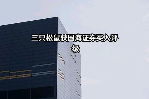 三只松鼠股份有限公司