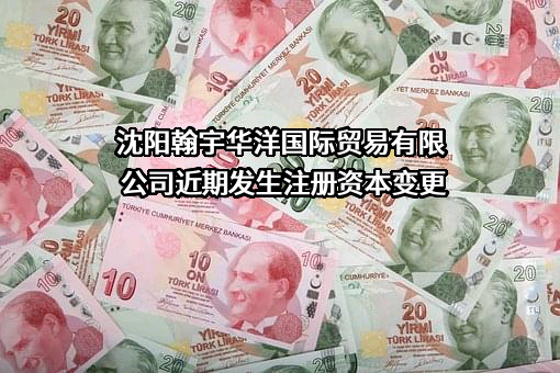 沈阳翰宇华洋国际贸易有限公司
