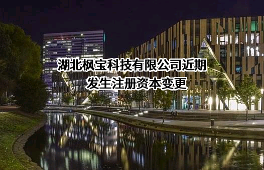 湖北枫宝科技有限公司
