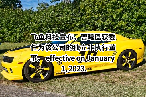 飞鱼科技国际有限公司