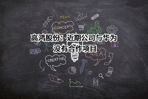 大唐高鸿网络股份有限公司