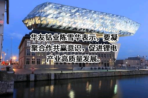 浙江华友钴业股份有限公司