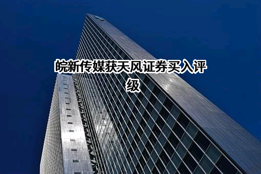 安徽新华传媒股份有限公司