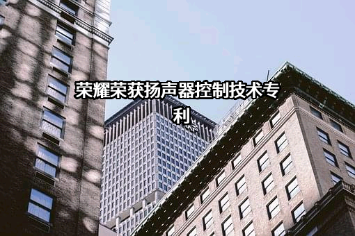 荣耀终端有限公司