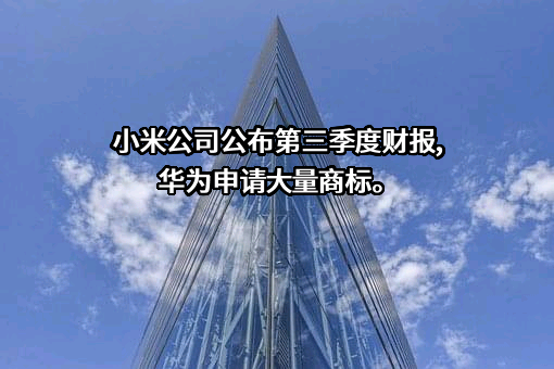 华为技术有限公司