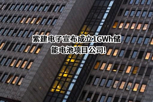 重庆市紫建电子股份有限公司