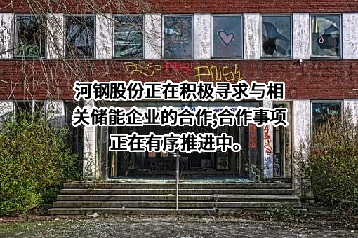 河钢股份有限公司