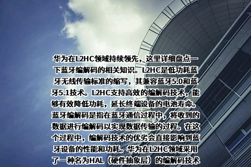 华为技术有限公司