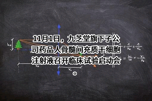 九芝堂股份有限公司