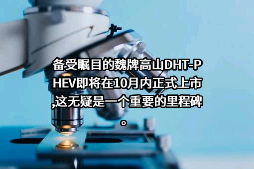 日照魏牌汽车有限公司