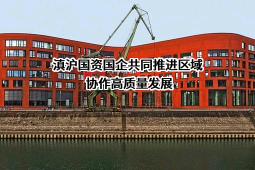 上海思尔腾科技集团有限公司