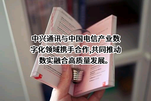 中兴通讯股份有限公司