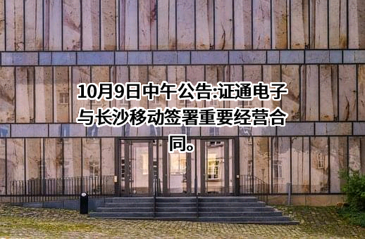 深圳市证通电子股份有限公司