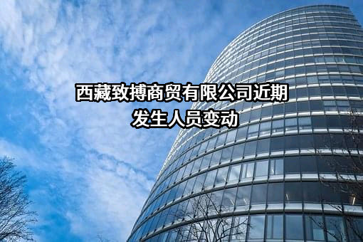 西藏致搏商贸有限公司