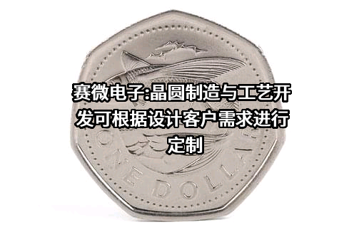 北京赛微电子股份有限公司