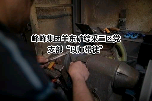 冀中能源峰峰集团有限公司