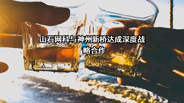 北京神州新桥科技有限公司