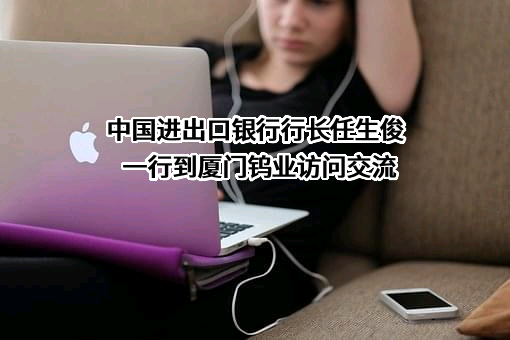中国进出口银行