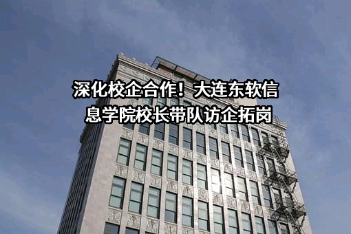 大连东软信息学院