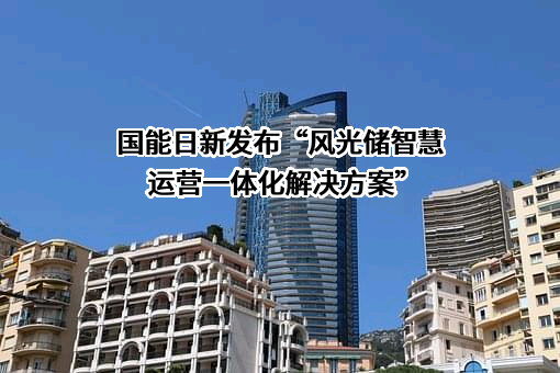 国能日新科技股份有限公司